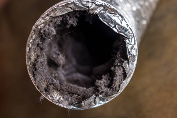 Best Residential Air Duct Cleaning  in Sky Valley, CA