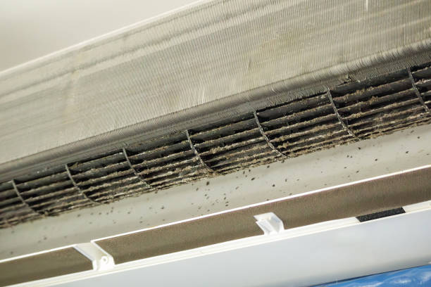 Affordable HVAC Duct Cleaning in Sky Valley, CA